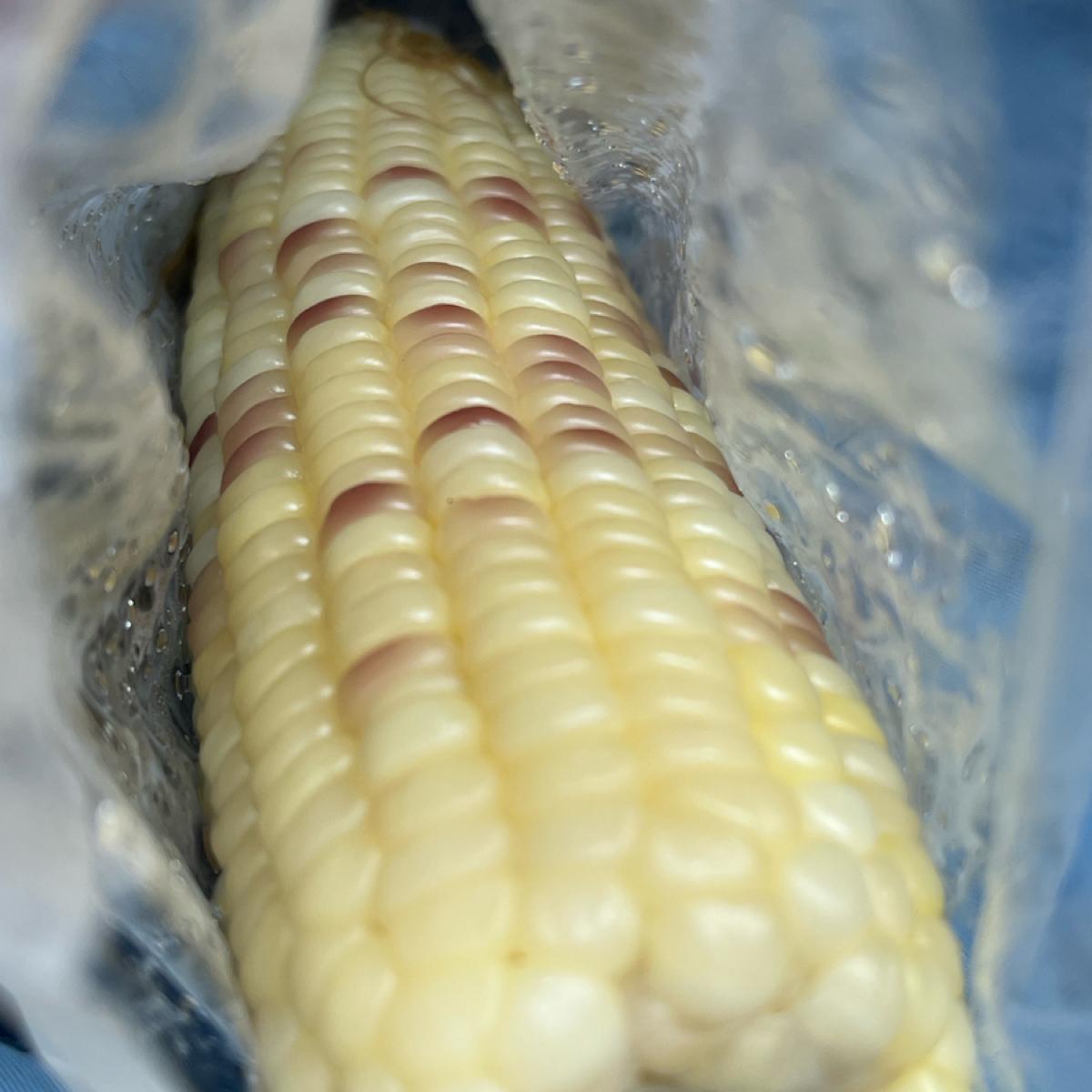Featured Image 1