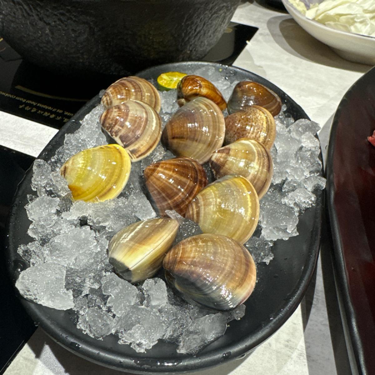 Featured Image 2