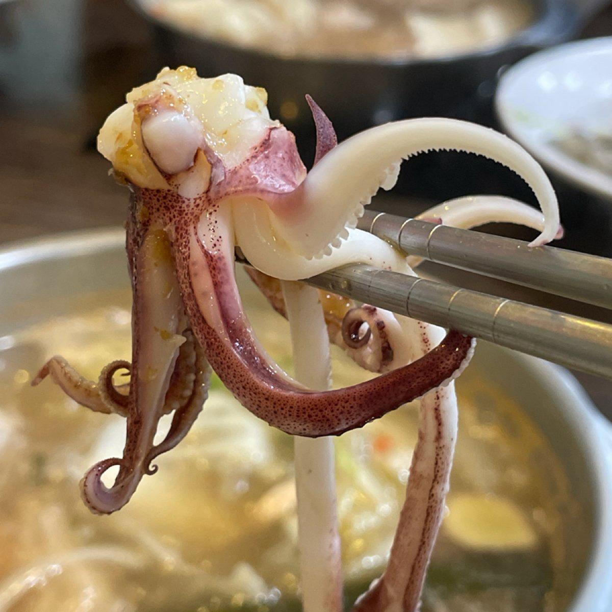 透抽特寫